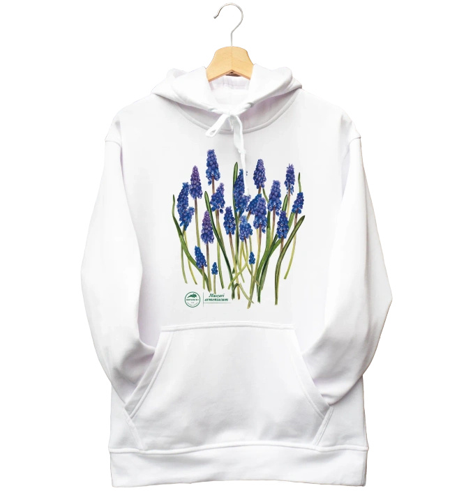 Armenian grape hyacinth — hoodie