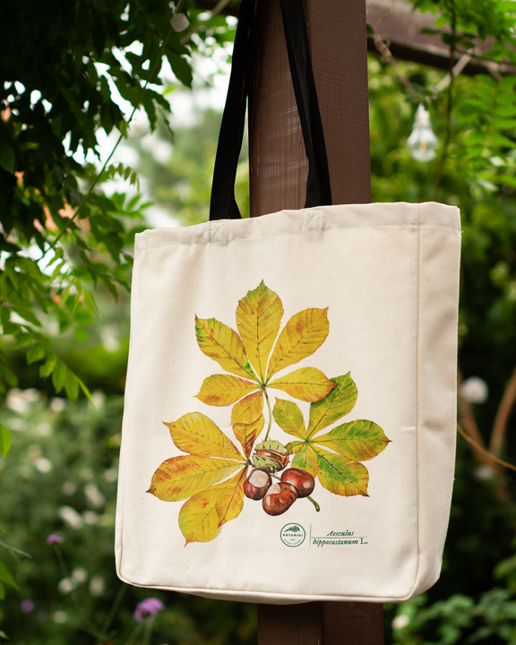 Horse chestnut — premium cotton bag