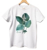 Hosta 'Blue Rock' — classic t-shirt