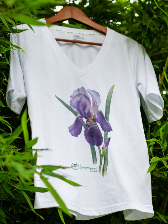 Iris 'Alcazar' — premium  t-shirt