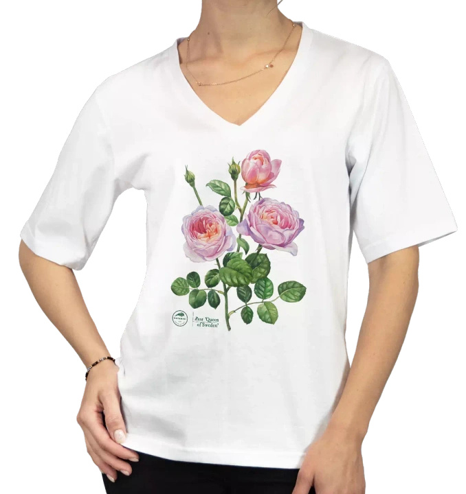 Rose 'Queen of Sweden' — premium t-shirt