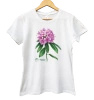 Catawba rosebay — women's t-shirt