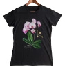 Orchid phalaenopsis — women's t-shirt