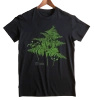 Eagle fern — t-shirt classic