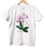 Orchid phalaenopsis — classic unisex t-shirt