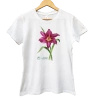 Summer Wine lily — women's daylily t-shirt