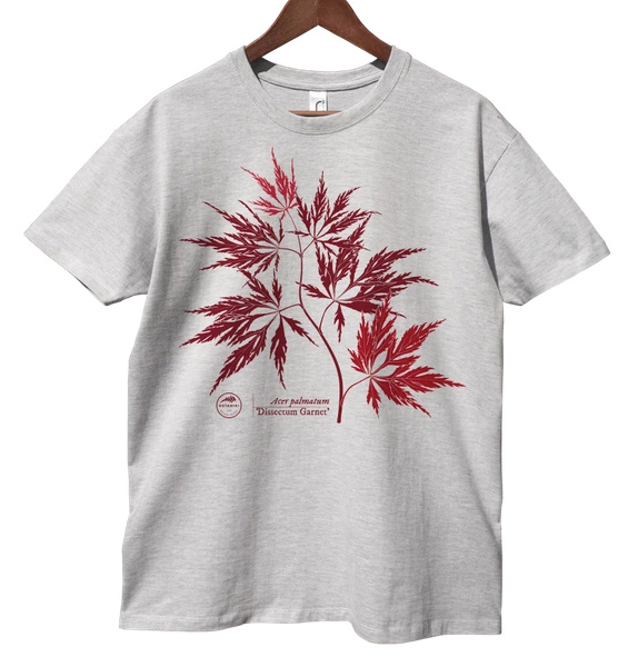 Acer Dissectum Garneta — classic t-shirt