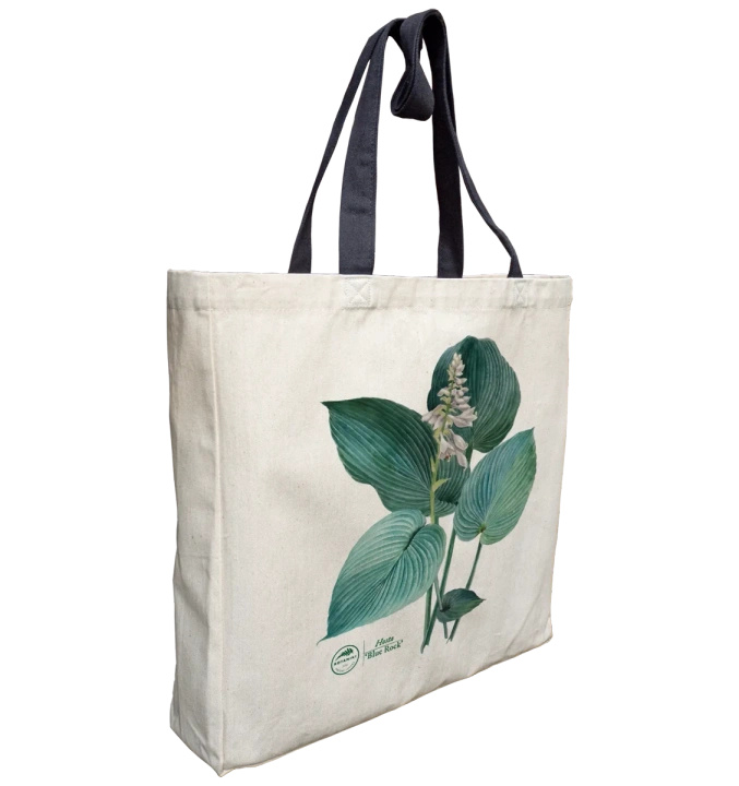 Hosta 'Blue Rock' — premium cotton bag