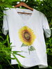 Common sunflower — premium  t-shirt