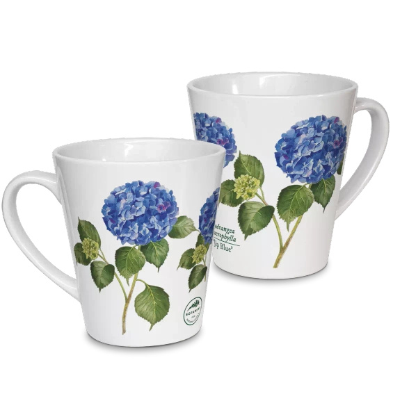 Hydrangea 'Jip Blue' — latte mug