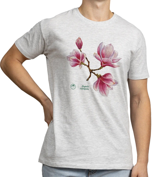 Saucer magnolia — classic t-shirt