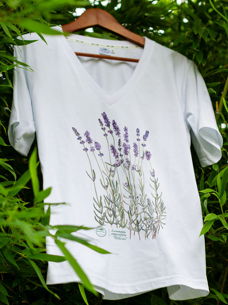 Lavender 'Hidcote' — premium  t-shirt