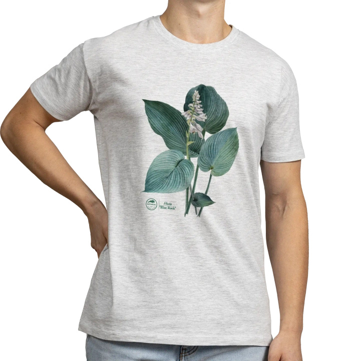 Hosta 'Blue Rock' — classic t-shirt