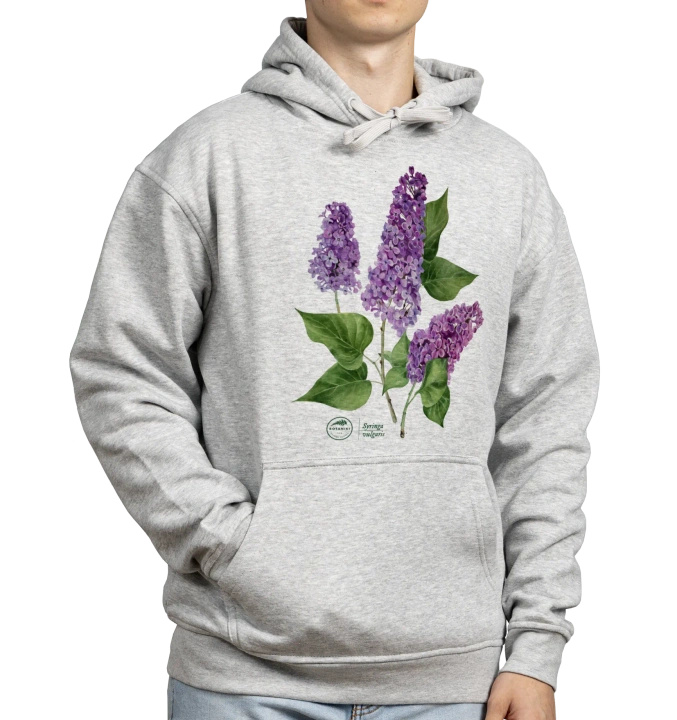 Common lilac — hoodie