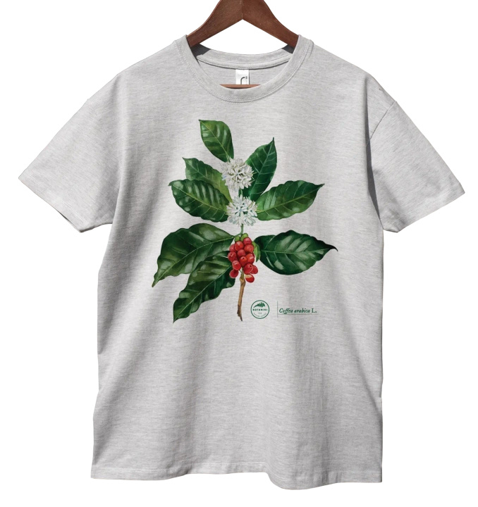 Coffea arabica — t-shirt classic