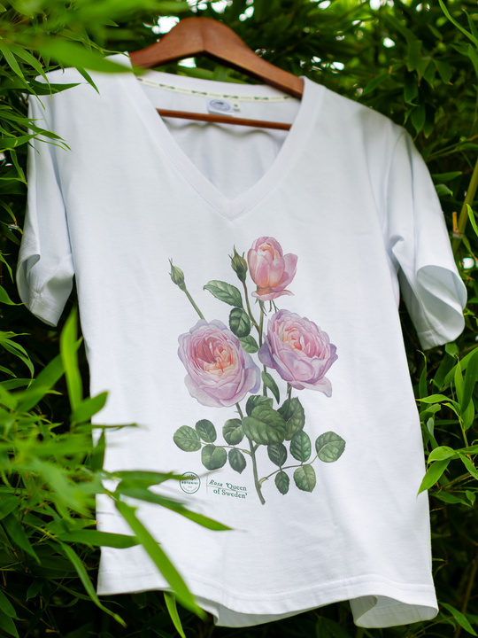 Rose 'Queen of Sweden' — premium t-shirt