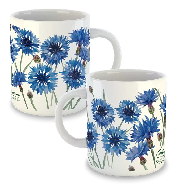 Cornflowers — classic mug