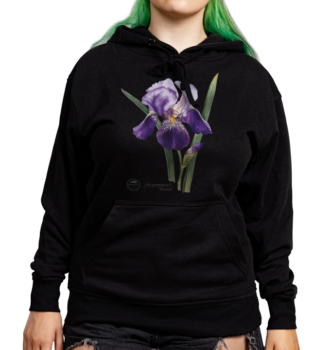 Bearded iris 'Alcazar' — hoodie