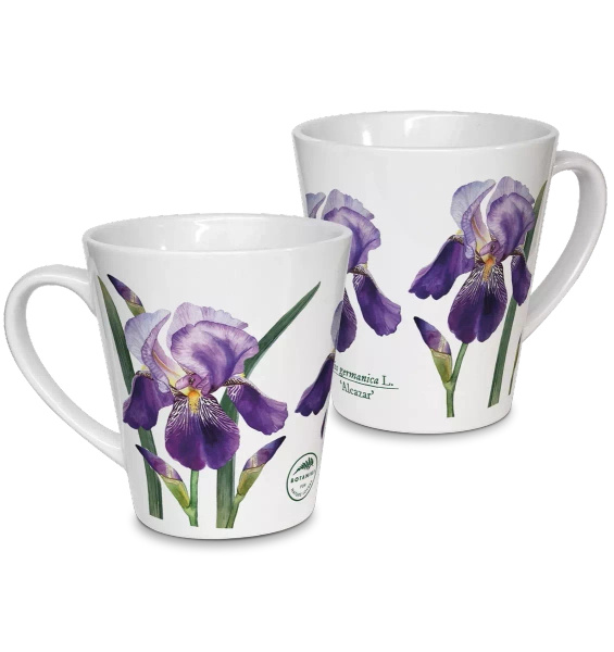 Bearded iris 'Alcazar' — latte mug