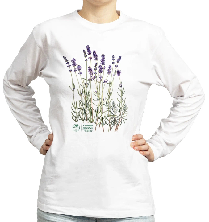 Lavender 'Hidcote' — long sleeve t-shirt