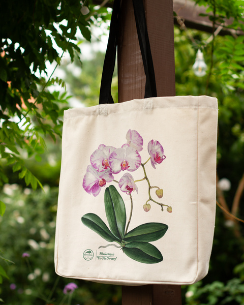 Orchid phalaenopsis — premium cotton bag