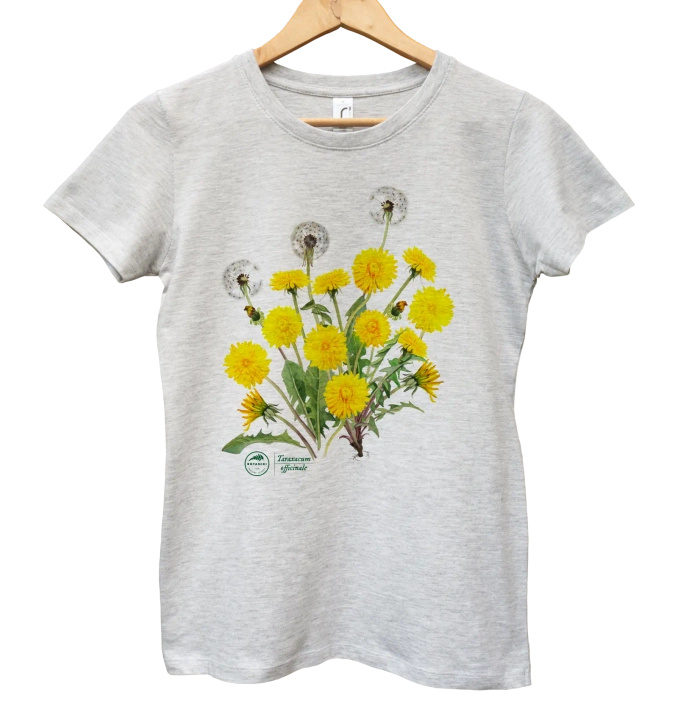 Dandelion — women's t-shirt