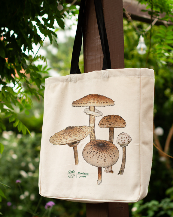 Parasol mushroom — premium cotton bag