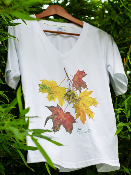 Norway maple — premium  t-shirt