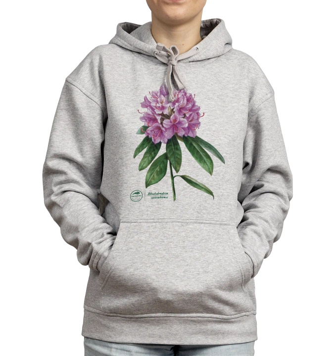 Catawba rosebay — hoodie
