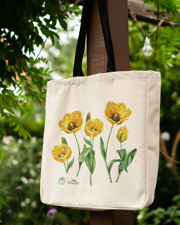 Tulip 'Crystal Star' — premium cotton bag