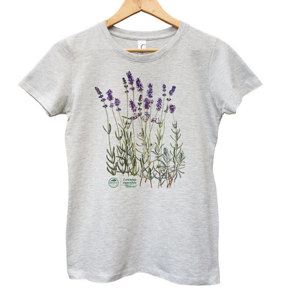 Lavender 'Hidcote' — women's t-shirt