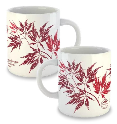 Acer Dissectum Garneta — classic mug