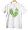 Male fern — classic t-shirt