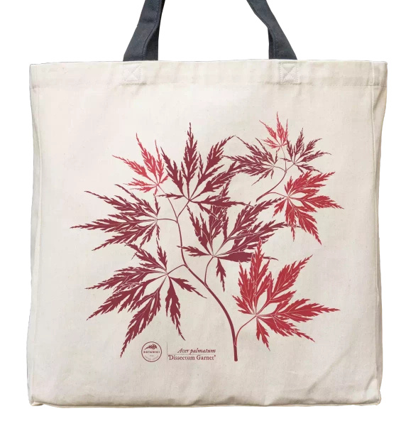 Acer Dissectum Garneta — premium cotton bag