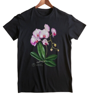 Orchid phalaenopsis — classic unisex t-shirt
