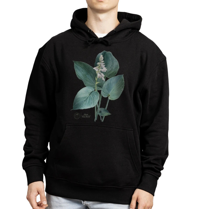 Hosta 'Blue Rock' — hoodie