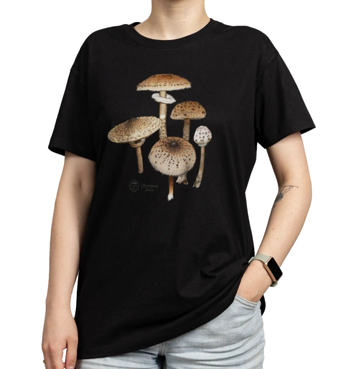Parasol mushroom — classic t-shirt