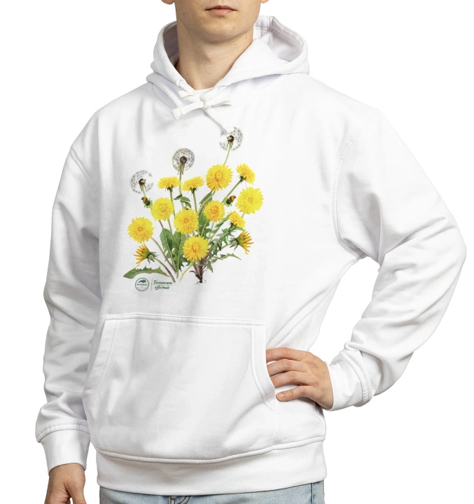 Dandelion — hoodie