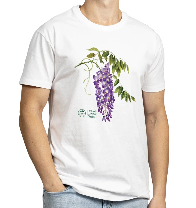 Chinese wisteria 'Prolific' — classic t-shirt
