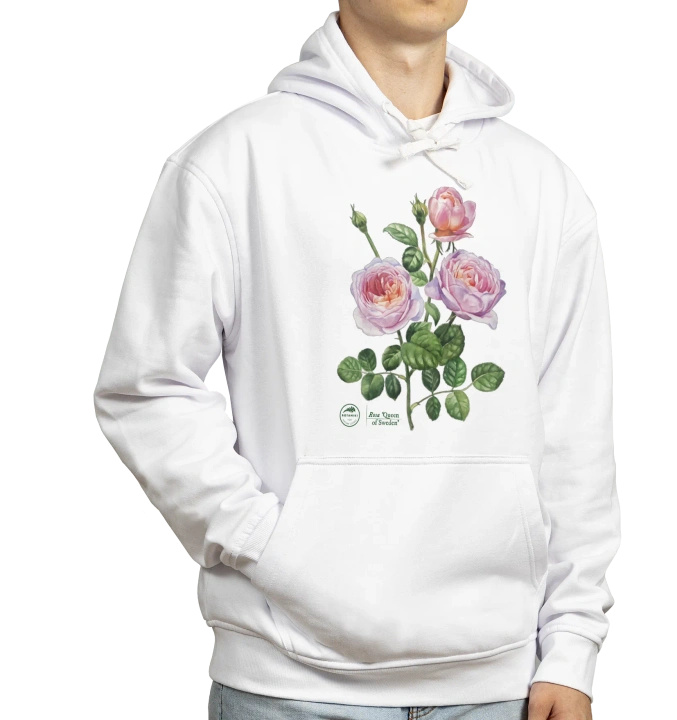 Rose 'Queen of Sweden'  — hoodie