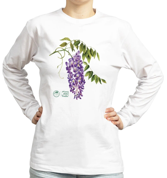 Chinese wisteria 'Prolific' — long sleeve t-shirt