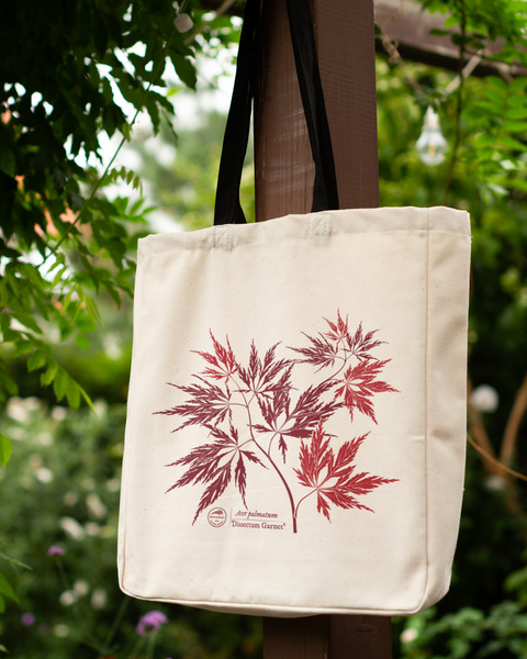 Acer Dissectum Garneta — premium cotton bag