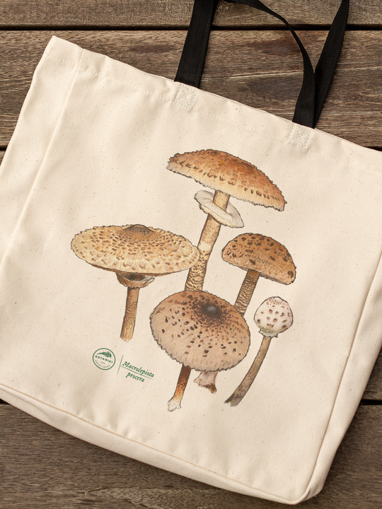 Parasol mushroom — premium cotton bag