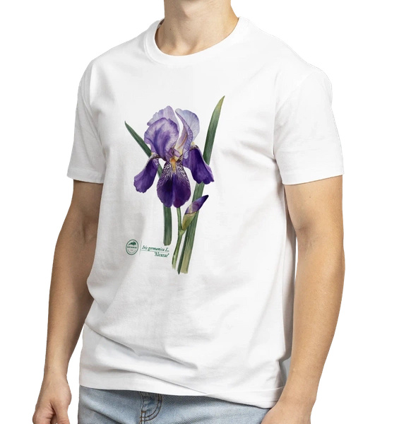 Iris 'Alcazar' — classic t-shirt