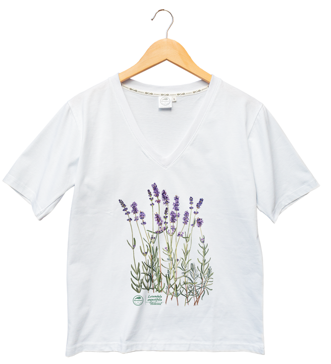 Lavender 'Hidcote' — premium  t-shirt