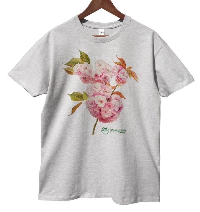 Cherry blossom 'Kanzan' — classic unisex t-shirt