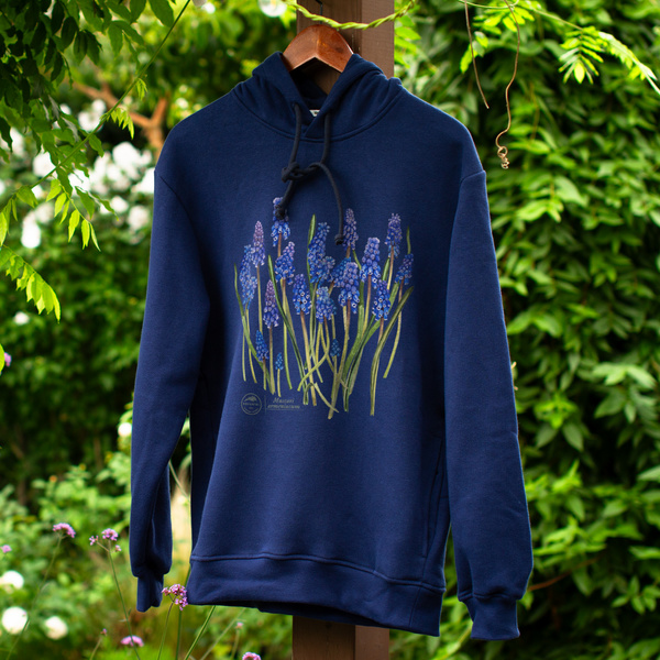 Armenian grape hyacinth — premium hoodie