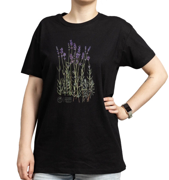 Lavender 'Hidcote' — classic t-shirt