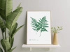 Leather fern — poster