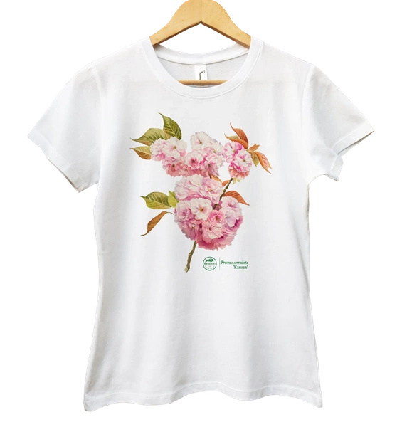 Cherry blossom 'Kanzan' — women's t-shirt